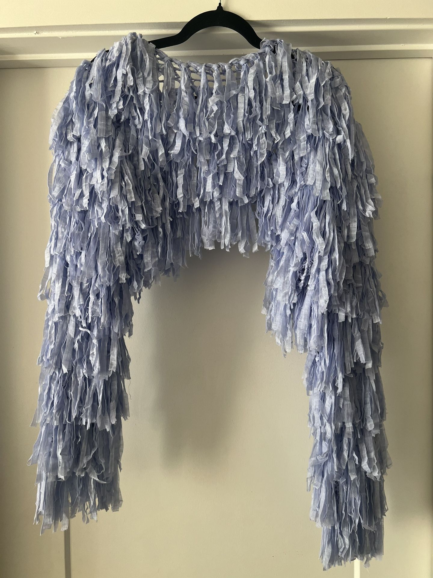 Fringe Cropped Coverup
