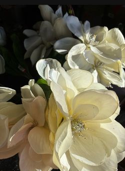Ashland Brand Large White Magnolias Bundles (6)