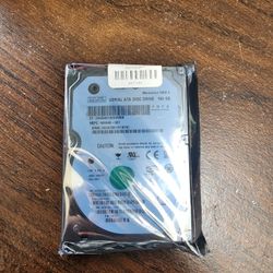Seagate Serial Ata Disc Drive 160 Gb 