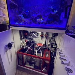 OCTO LUX T90 48gal White Aquarium System - Reef Octopus