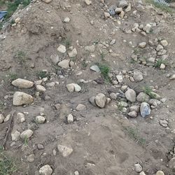 Free Dirt