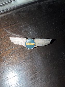 Jet blue wings