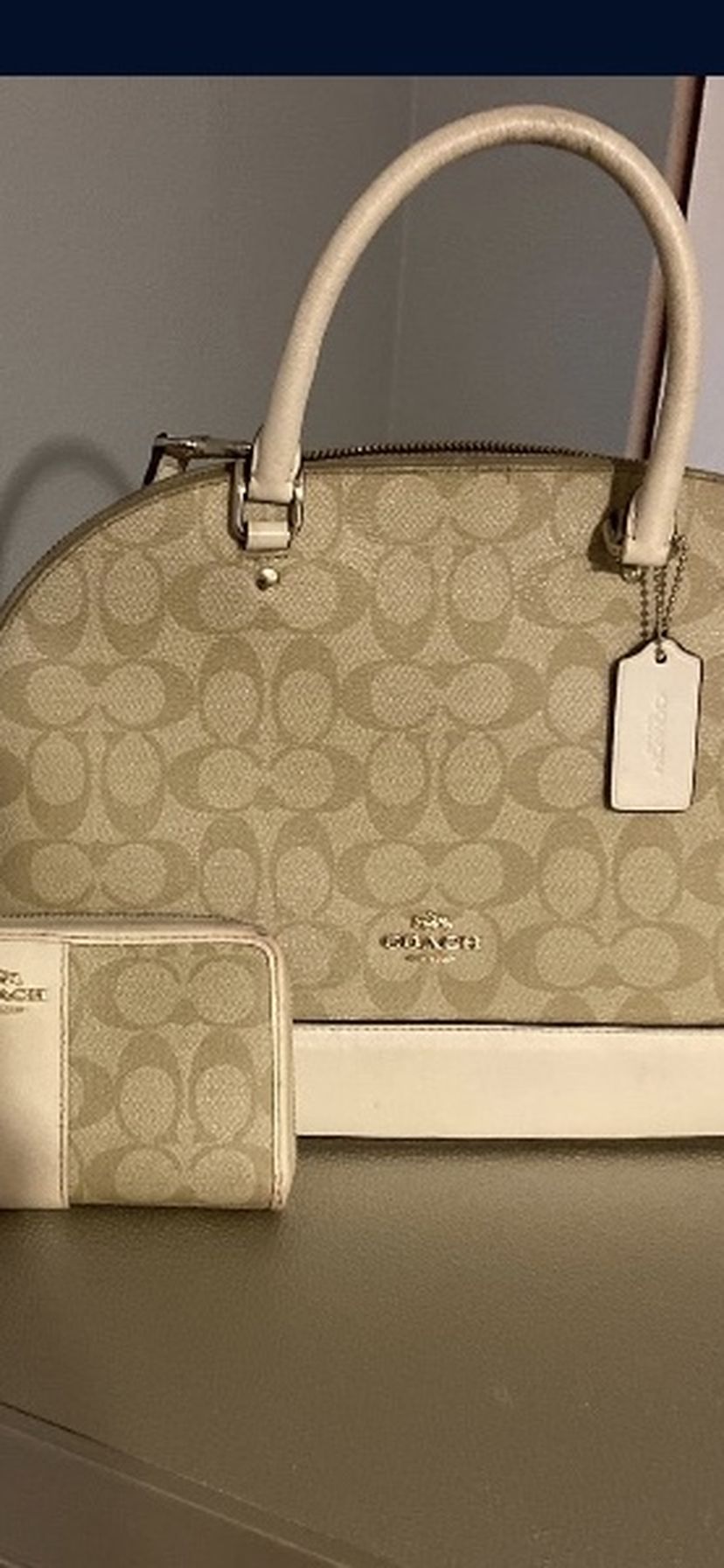 Coach Bag And Wallet