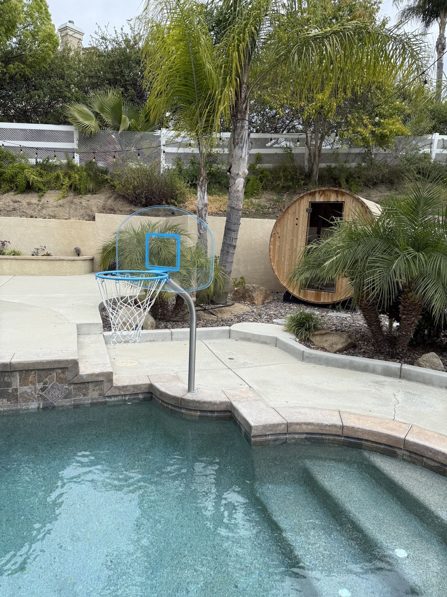 Pool Basketball Hoop