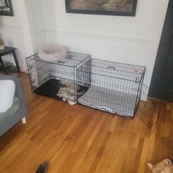 Dog Kennel