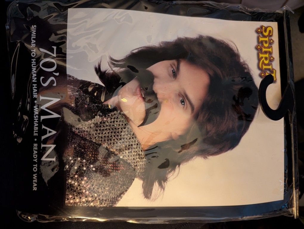 '70s Style Men's Wig