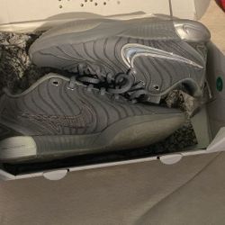 LeBron 21 Cool Grey