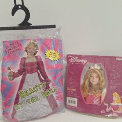 Princess Ball Gown Costume and Disney Aurora Wig