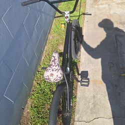 BMX Eastern Bike