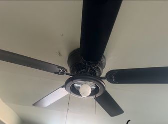 Ceiling Fan