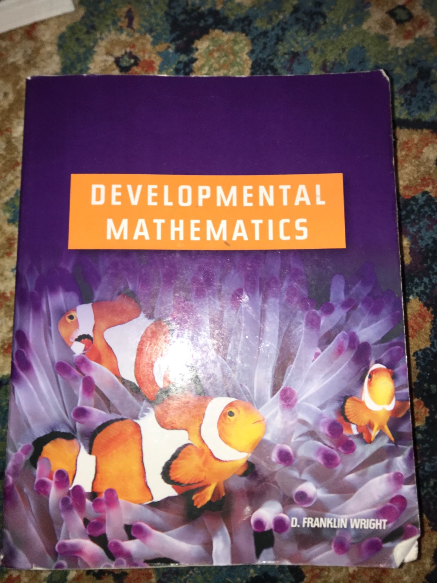 Developmental Mathematics book