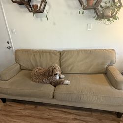 Couch And Chair 