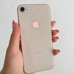 iPhone 8 Unlocked With Warranty 
