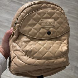 Pink Tushbaby Hip Carrier - $50