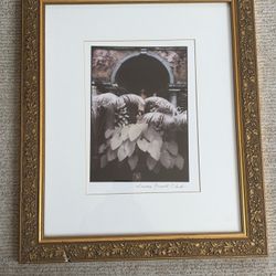 Sandra Russell Clark Framed/Matted Monochromatic (Purple-tones) Garden Photo - 2
