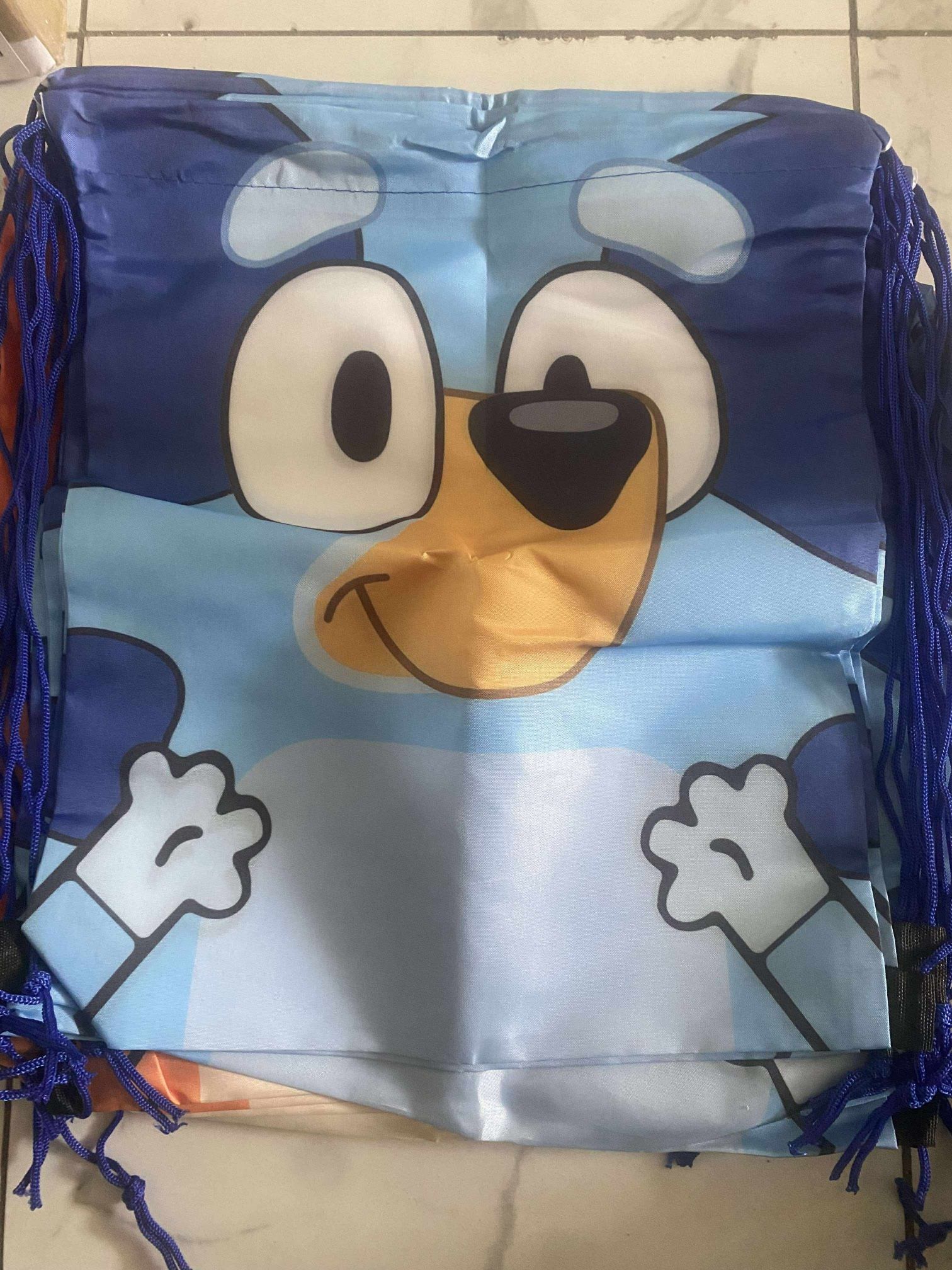12 Pack Bluey and Friends Party Gift Bag Large Size