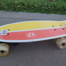 Penny Board: Kryptonics Skateboards 23" Mini Fat Cruiser 