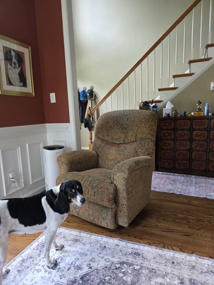 La Z Boy Rocker Recliner (FREE)