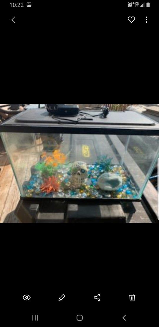 5 Gallon LED Aquarium Setup With Accessories