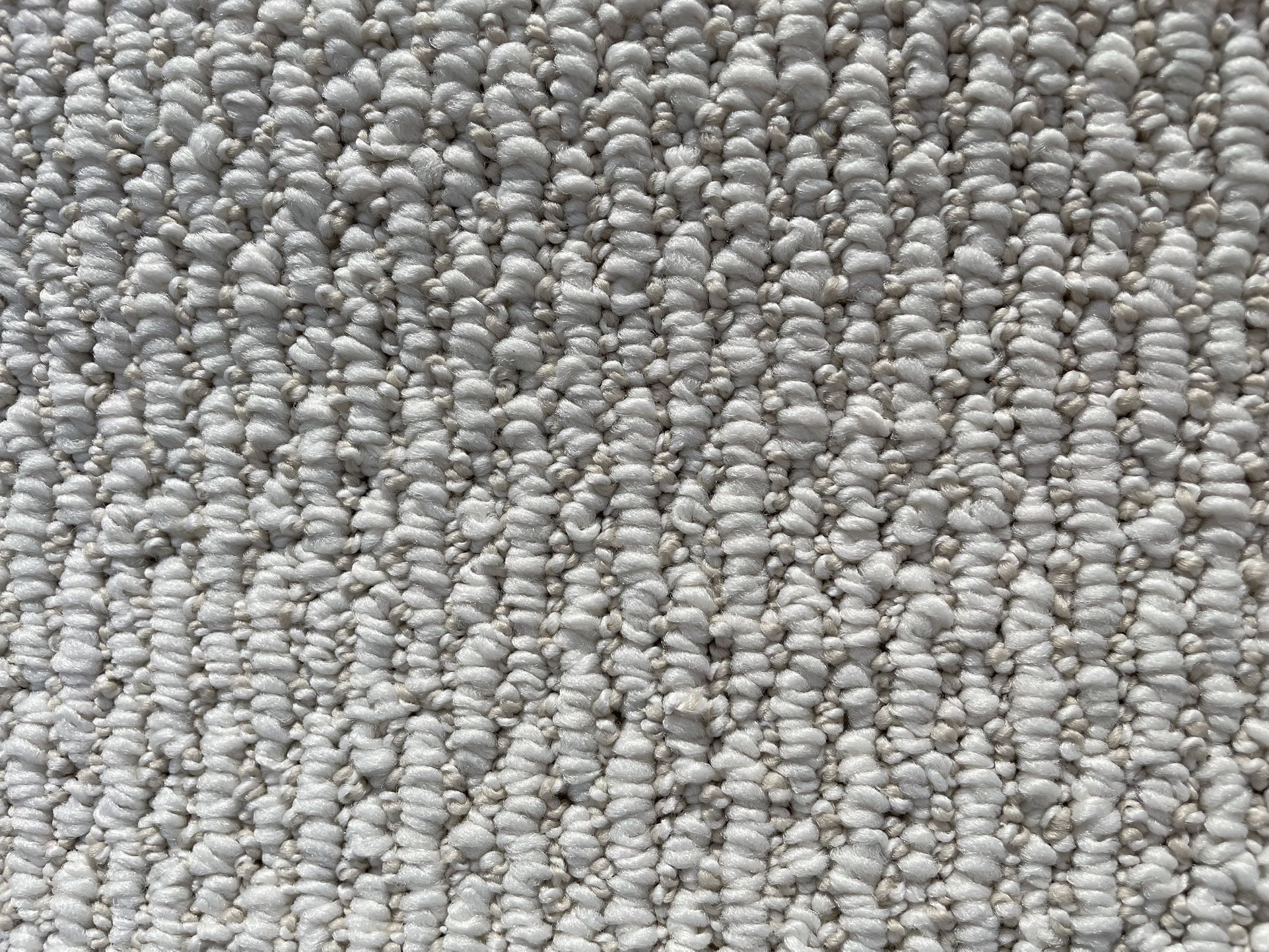 Brand new carpet 12ft x19ft