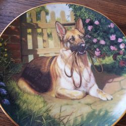 Decorative Plates