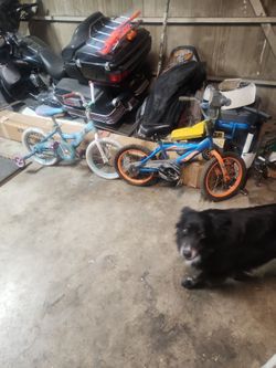 Free Bikes