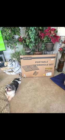 Cornhole game