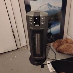 De'Longhi Tower Fan + Heater 