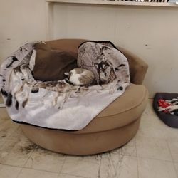 Couch Spins
