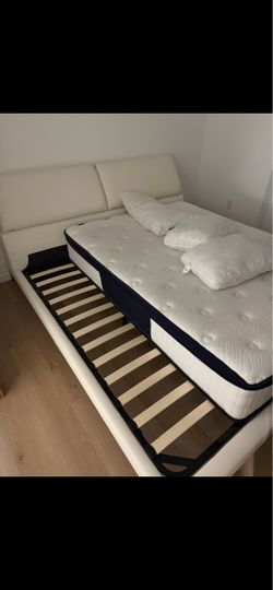 Bed king modern