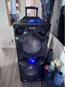 IQ Party Speaker