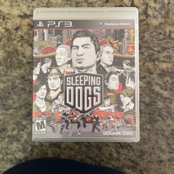 Sleeping Dogs PS3
