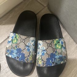 Woman Shoes 