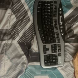 Microsoft Curved Keyboard 