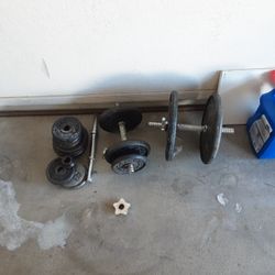 Free Weights