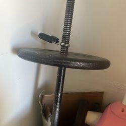 Bar Bell And 2 25 weights