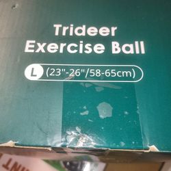 Large Exercise Ball