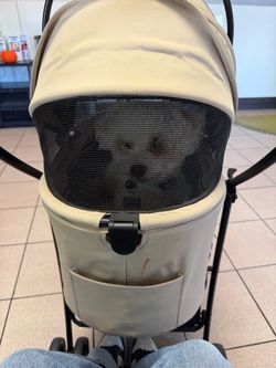 Pet stroller !
