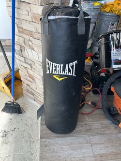 Everlast Heavy Punching Bag