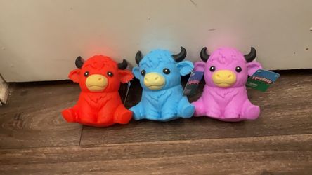 Highland cows