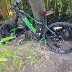 Electric Assist Bike