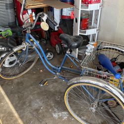Tricycle Bite Schwinn