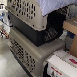 Dog Crates 