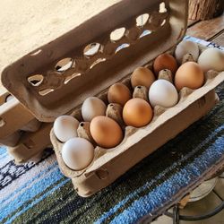 Farm Eggs