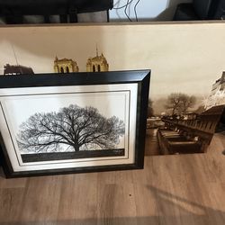 Framed art in lemon grove