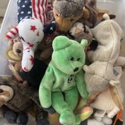 Beanie Babies Collection