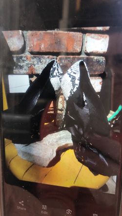 Snake shoes