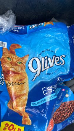 Free cat food