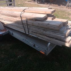 Walnut Lumber 