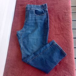 Terra & Sky Flat Front Pull-on Jeans, ☆Size 1X (16W-18W)